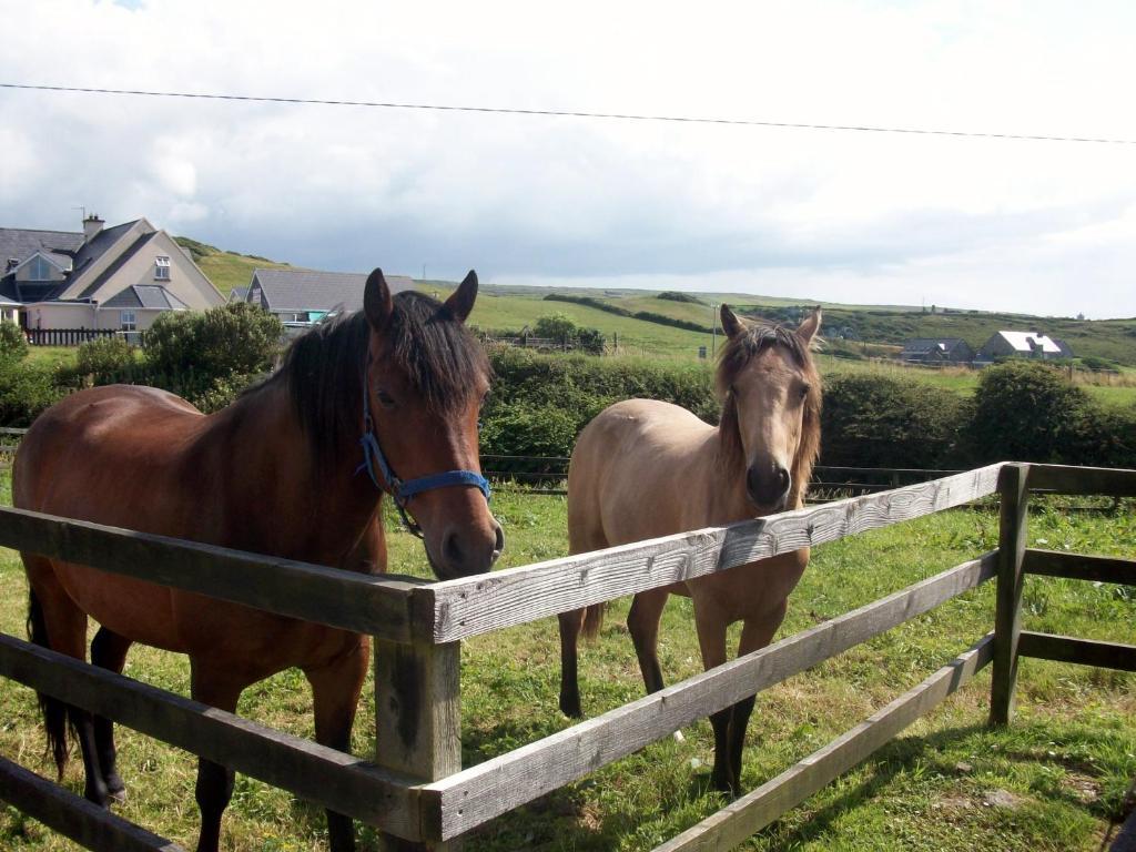 O'Connor'S Accommodation Doolin Exteriér fotografie