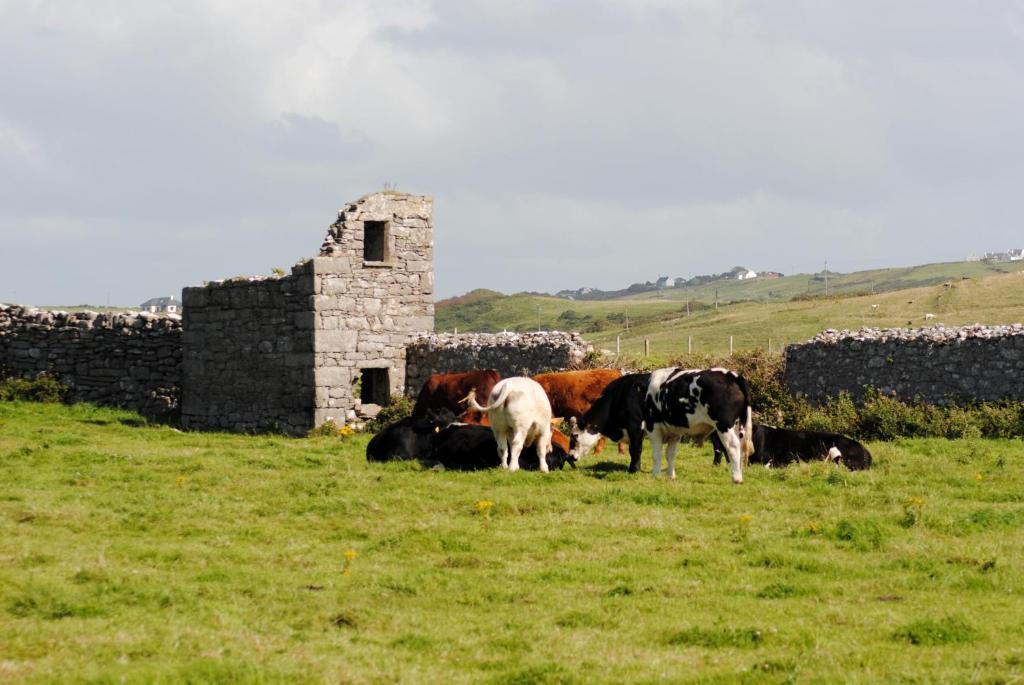 O'Connor'S Accommodation Doolin Exteriér fotografie